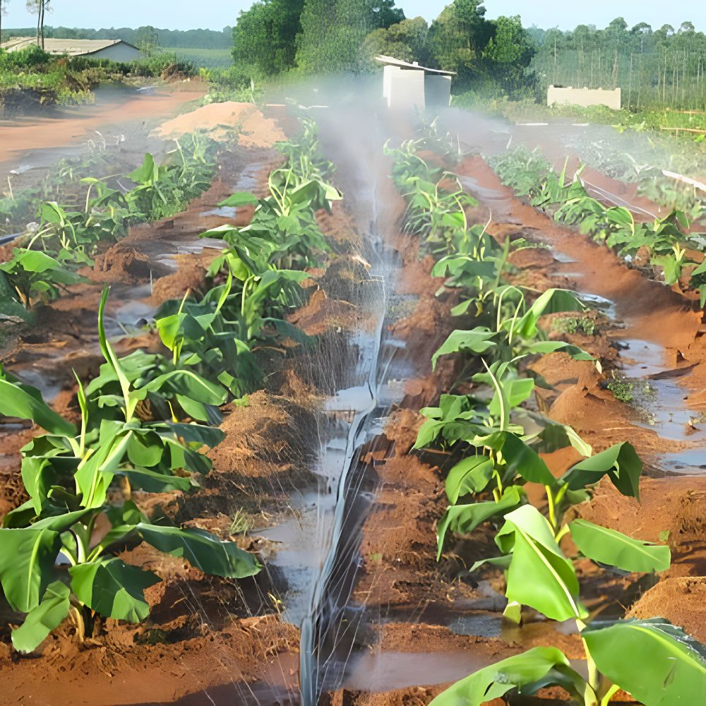 Selang Drip Irigasi Tetes Pertanian Panjang 100 Meter Tanpa Lubang - Gambar 5