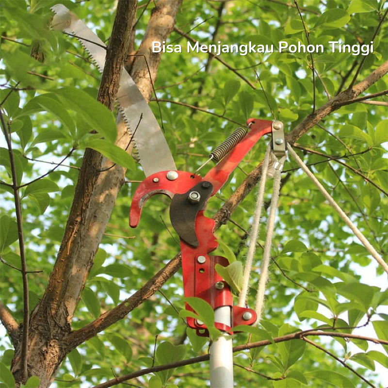 Tongkat Galah Teleskopik Panjang 3M & 5M Keranjang Petik Buah di Pohon Tanpa Tangga - Gambar 5